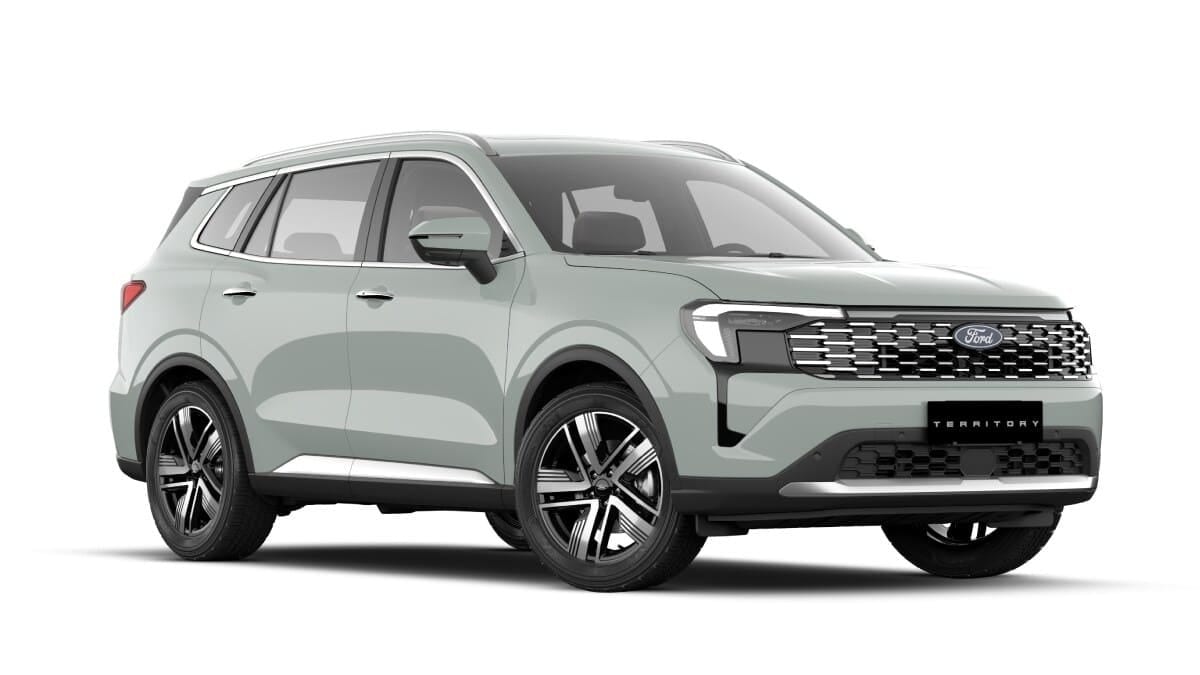 Nueva Territory Gris Ceniza