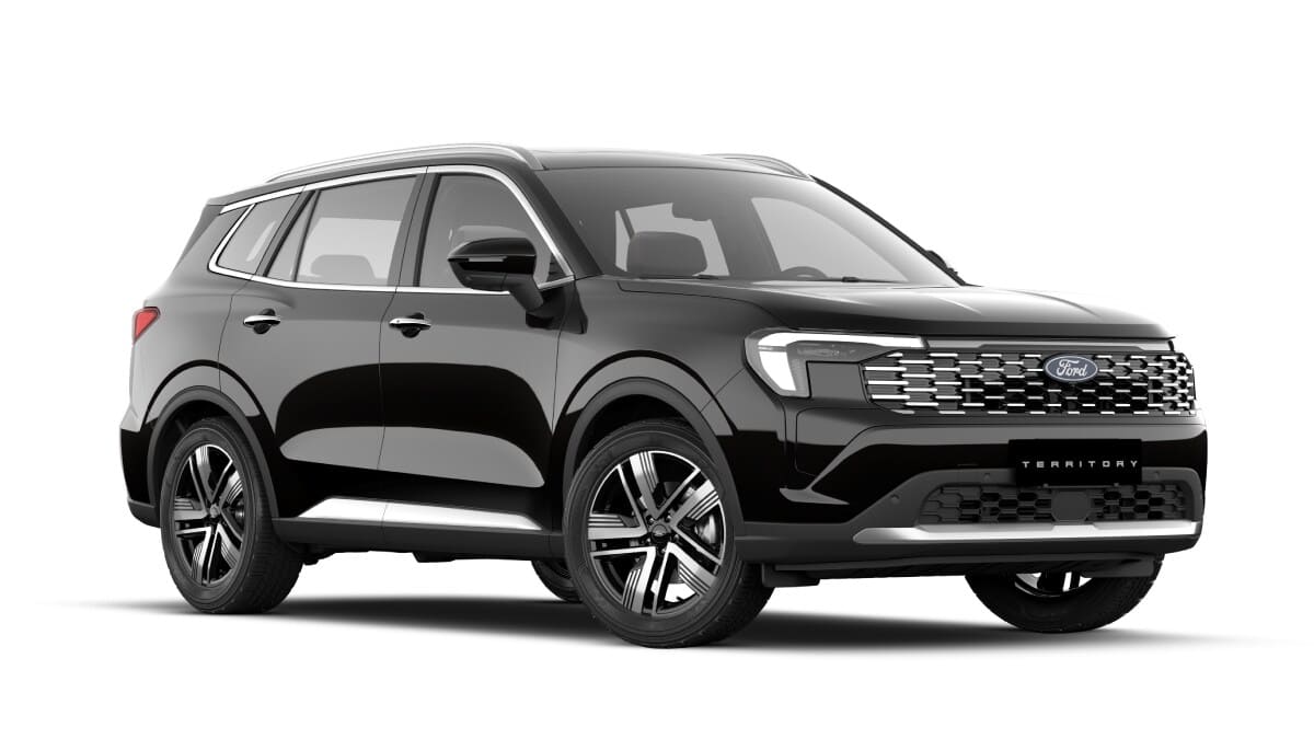 Nueva Territory Negro Brillante