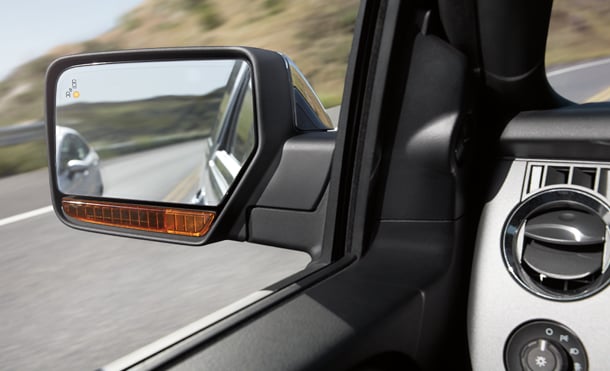 FVE-BLIS-1-Tecnologia