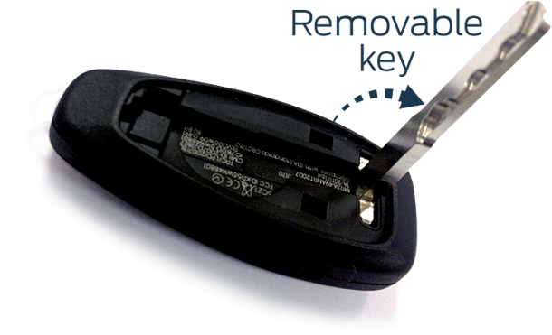 removable key